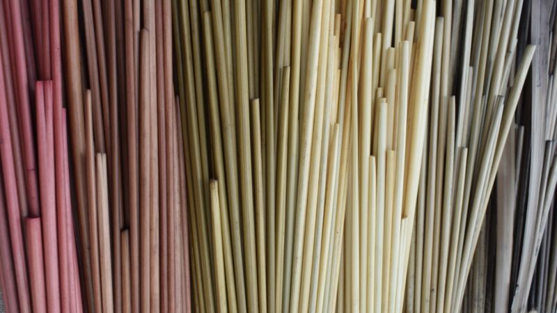 Paille de seigle pour marqueterie de paille